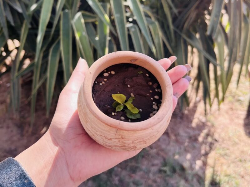 Eco-friendly candles