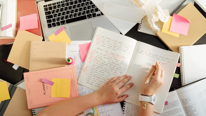 home based business ideas, home biz ideas, home based business opportunities, stay at home mum business ideas, home business, women business, small business, mompreneur, online income, startup ideas, work from home, business ideas, passive income, female entrepreneurs, Online business ideas, best business ideas